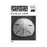 Sand Dollar Seashell Postage Photo Stamp