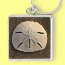 Sand Dollar Seashell Sand Beach Keychain keychains