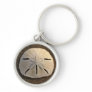Sand Dollar Seashell Sand Beach Keychain