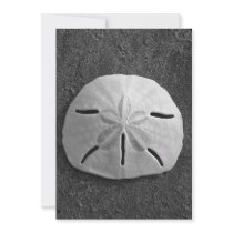 Sand Dollar Shell Beach Invitation (B&W Photo)