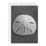 Sand Dollar Shell Beach Invitation (B&amp;W Photo)