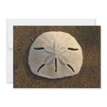 Sand Dollar Shell Beach Invitation (Color Photo)