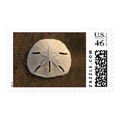 Sand Dollar Stamp (Color)
