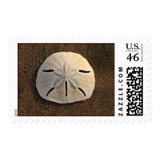 Sand Dollar Stamp (Color) stamp