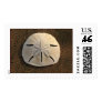Sand Dollar Stamp (Color)