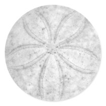Sand Dollar Sticker