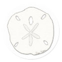 Sand Dollar Sticker