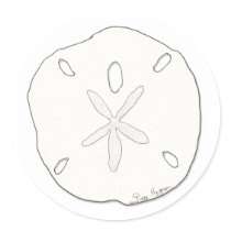Sand Dollar Sticker