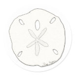 Sand Dollar Sticker