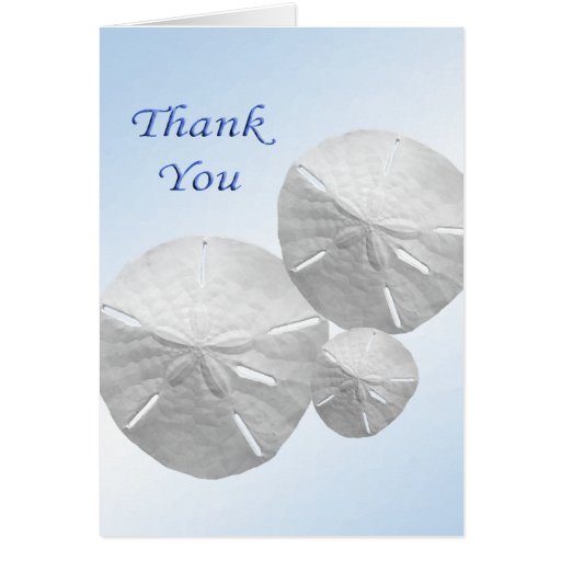 Sand Dollar Thank you Cards Zazzle