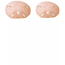 Sand Dollar t-shirts