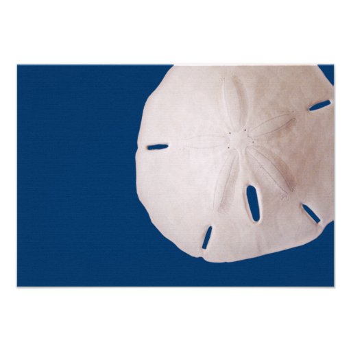 Sand Dollar Wedding/ Response Announcements