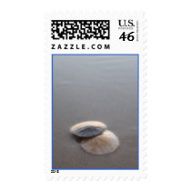 Sand Dollars Postage Stamps