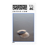 Sand Dollars postage