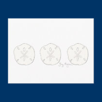 Sand Dollars Postcard postcards