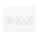 Sand Dollars Postcard