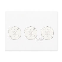 Sand Dollars Postcard