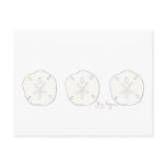 Sand Dollars Postcard