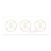 Sand Dollars Posters & Prints