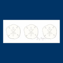 Sand Dollars Posters & Prints