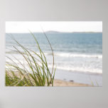 sand dune grass view poster