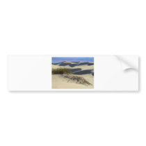 Sand Dunes Desert bumper stickers