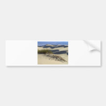 Sand Dunes Desert Bumper Stickers