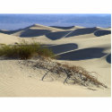 Sand Dunes Desert photo sculptures by lifesphere Sand Dunes Desert photo sculptures