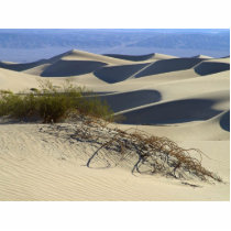 Sand Dunes Desert photo sculptures by lifesphere Sand Dunes Desert photo sculptures