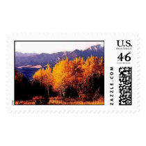 Sand Dunes fall aspen  postage