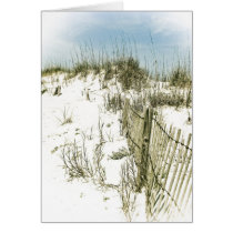 Sand Dunes Fence cards