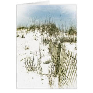Sand Dunes Fence card