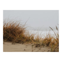 Sand Dunes In A Fury posters