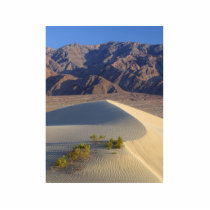 Sand Dunes photo sculptures
