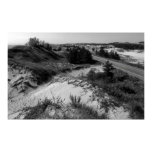 Sand Dunes Sand Dunes