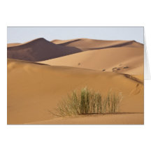 Sand dunes, Sahara desert, Morocco Greeting Cards