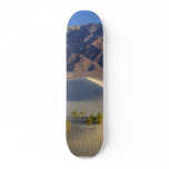 Sand Dunes Custom Skate Board