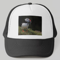 Sand Eel and Puffin Hat