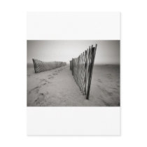Sand Fence Postcard