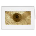 Sand Flower cards by aimoir Sand Flower cards