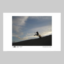 Sand Jumper - Photo of the Year Category Winner posters