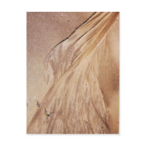 Sand Pattern postcard