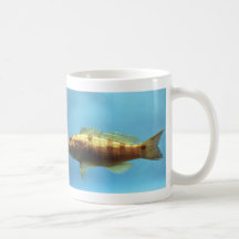 Sand Perch Fish Coffee Mugs