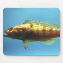 Sand Perch Fish Mouse Pad