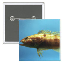 Sand Perch Fish Pinback Button