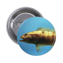 Sand Perch Fish Pins