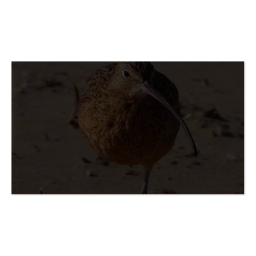 Sand Piper Bird On Beach Business Cards (back side)
