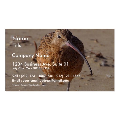 Sand Piper Bird On Beach Business Cards (front side)
