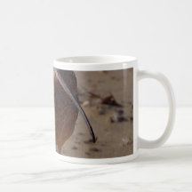 Sand Piper Bird On Beach Coffee Mugs