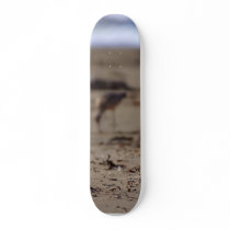 Sand Piper Bird Skate Decks